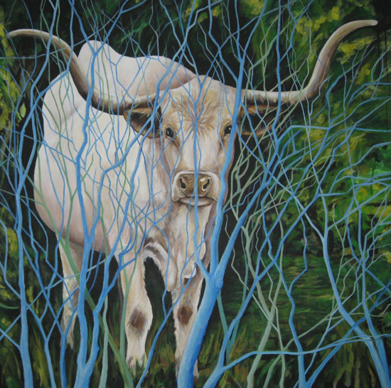 Longhorn in the Thicket
