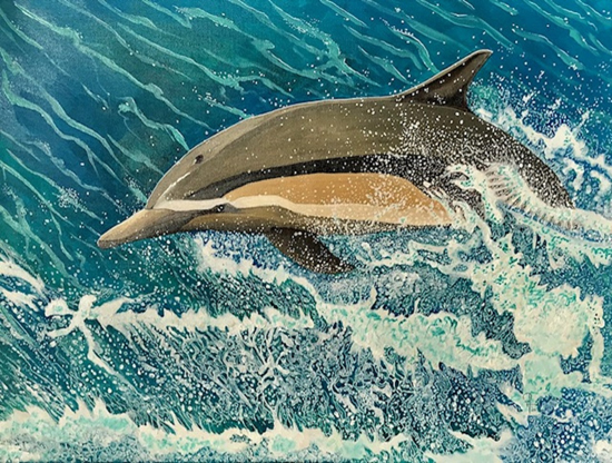 Dana Point Dolphin