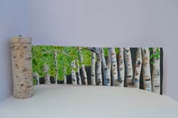 Birch Trees