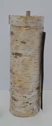 Birch Trees