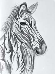 Tribal Zebra