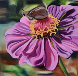 Purple Zinnia