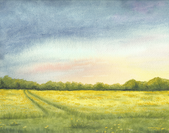 The Early Morning Gift