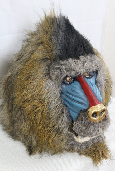 Mandrill with a Golden Nose