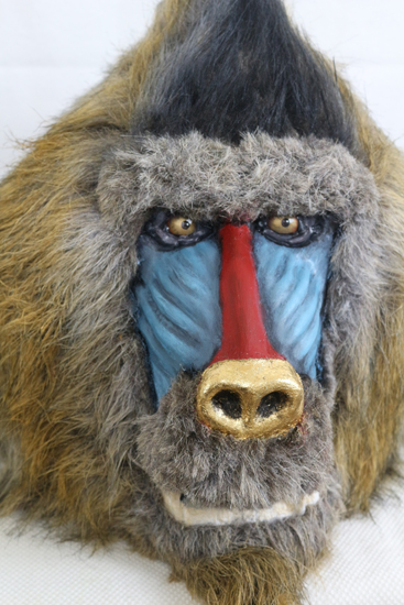 Mandrill with a Golden Nose