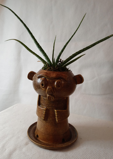 Murphy the Plant Man