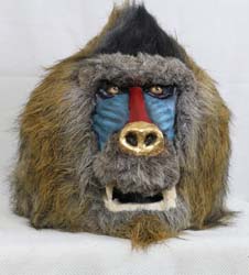 Mandrill with a Golden Nose