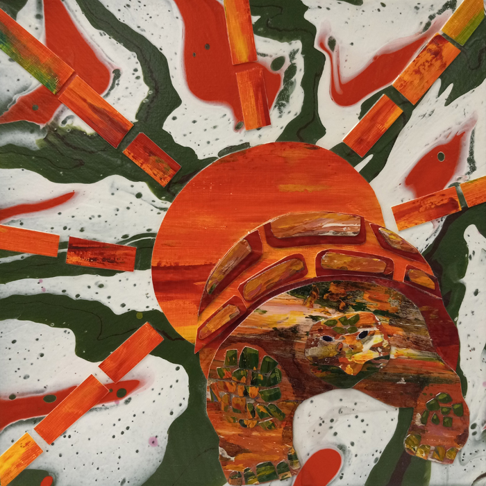 They Called Her Tortoise, because She Taught Us