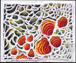 Xylem Leaf - microscopic imaging