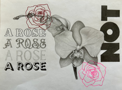 You Are Not A Rose