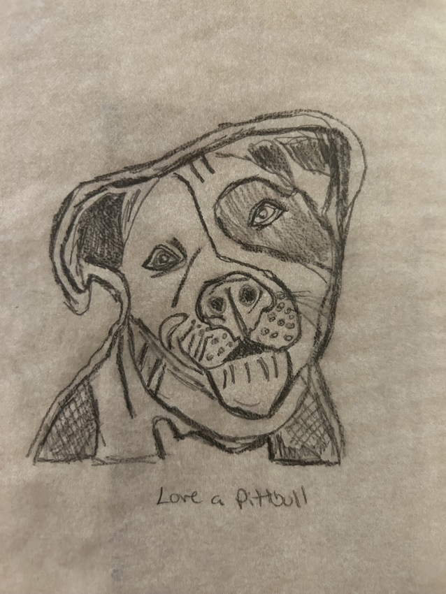 Love a Pitbull