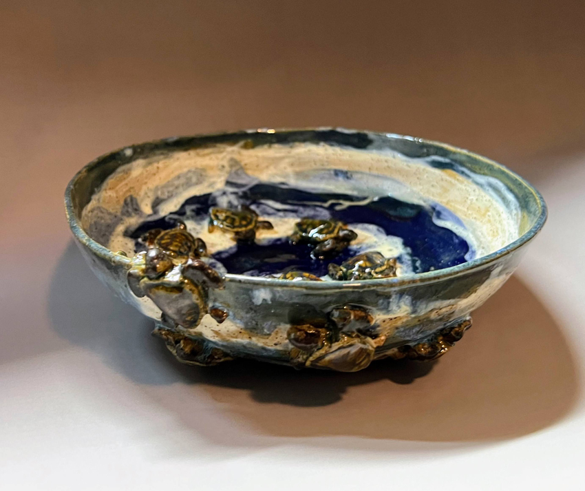 Turtles Make it to Sea