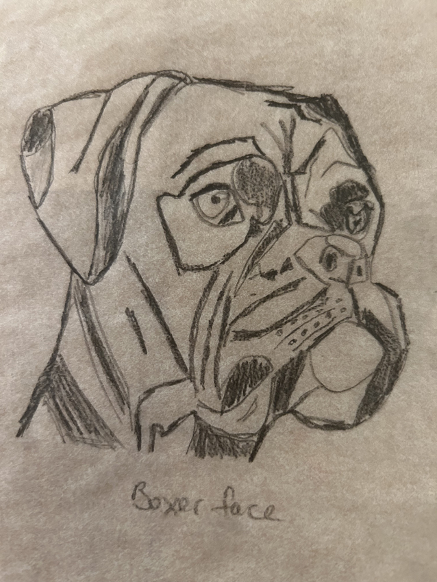 Boxer Face