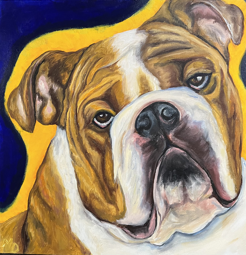 Bulldog