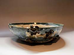 Turtles Make it to Sea