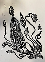 Pitcher Plant