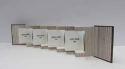 The Bridges of Orange County