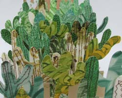 Salute to the Saguaro