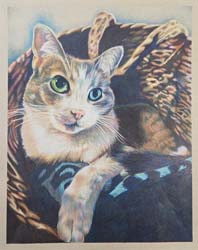 Axelle Sitting Pretty