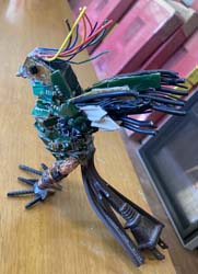 Tech Bird