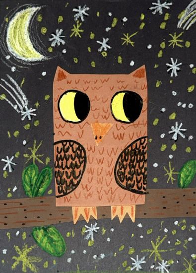 Little Owl