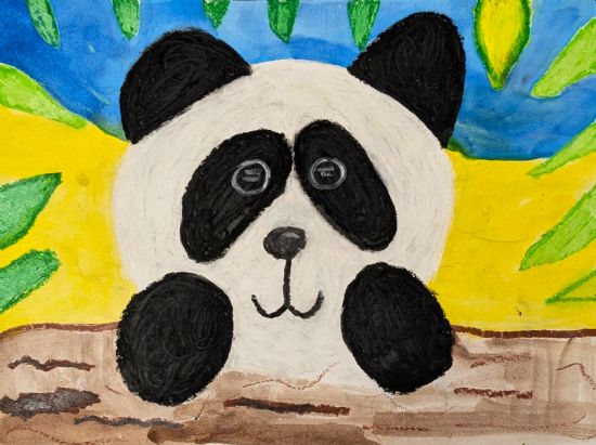 The Curious Panda