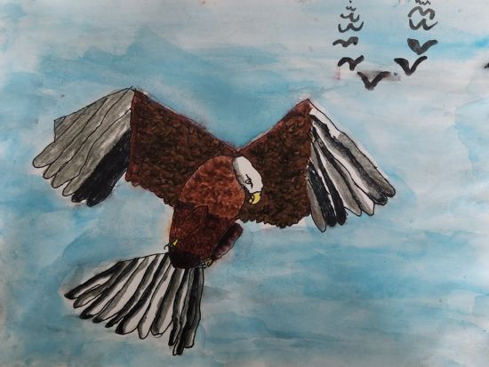 Eagle In The Sky