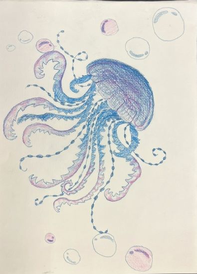 Jellyfish