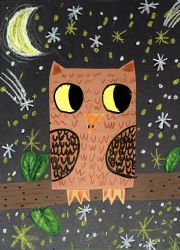 Little Owl