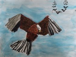 Eagle In The Sky