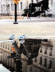 Puddle With Person