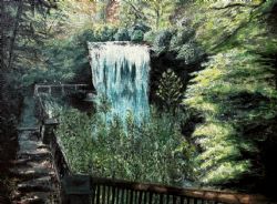 Reflections of Cascading Leaves