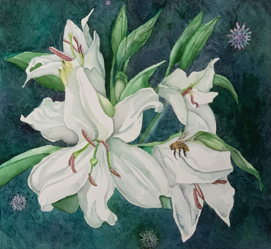 COVED Lilies