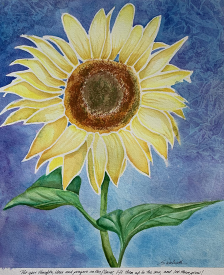 Sunflower
