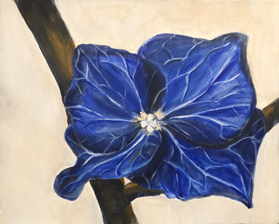 A Complementary Violet