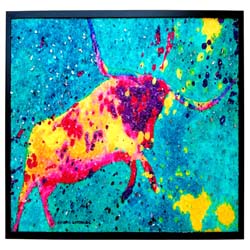 The Intense Longhorn