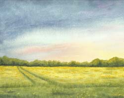 The Early Morning Gift