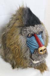 Mandrill with a Golden Nose