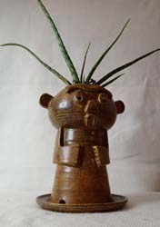 Murphy the Plant Man