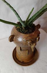 Murphy the Plant Man