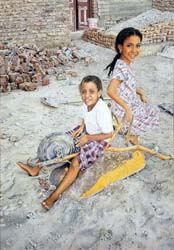 The Wheelbarrow Express