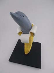 Banana Dolphin