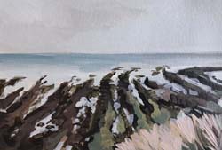 North Sea Rockpooling