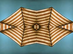 Contrast in Blue and Yellow