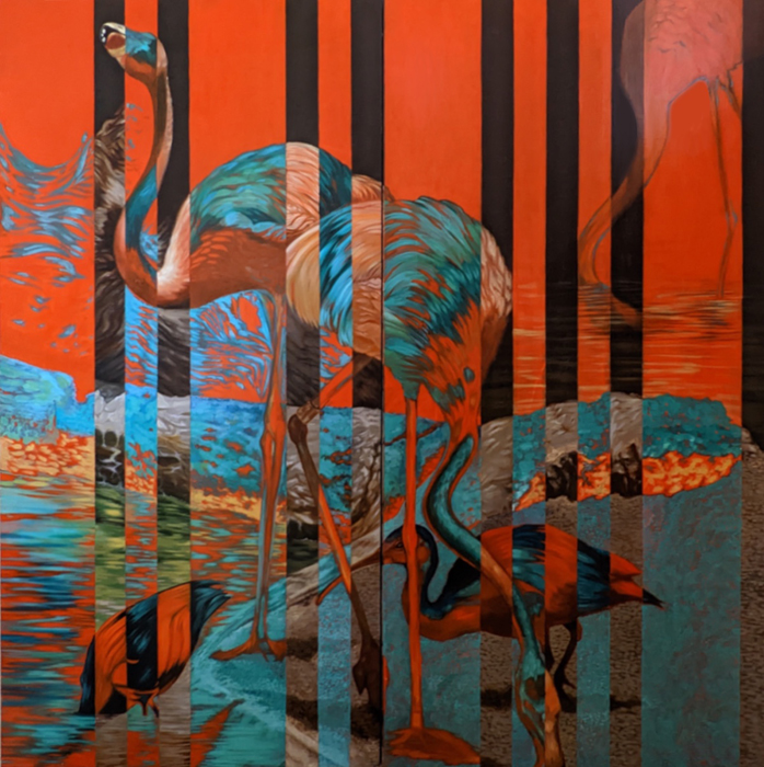 A Flamingo's Pattern