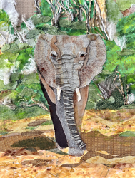 Wisdom Walking Towards You