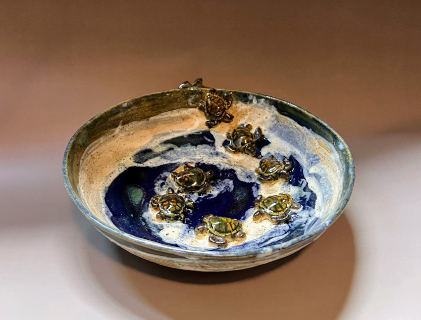 Turtles Make it to Sea