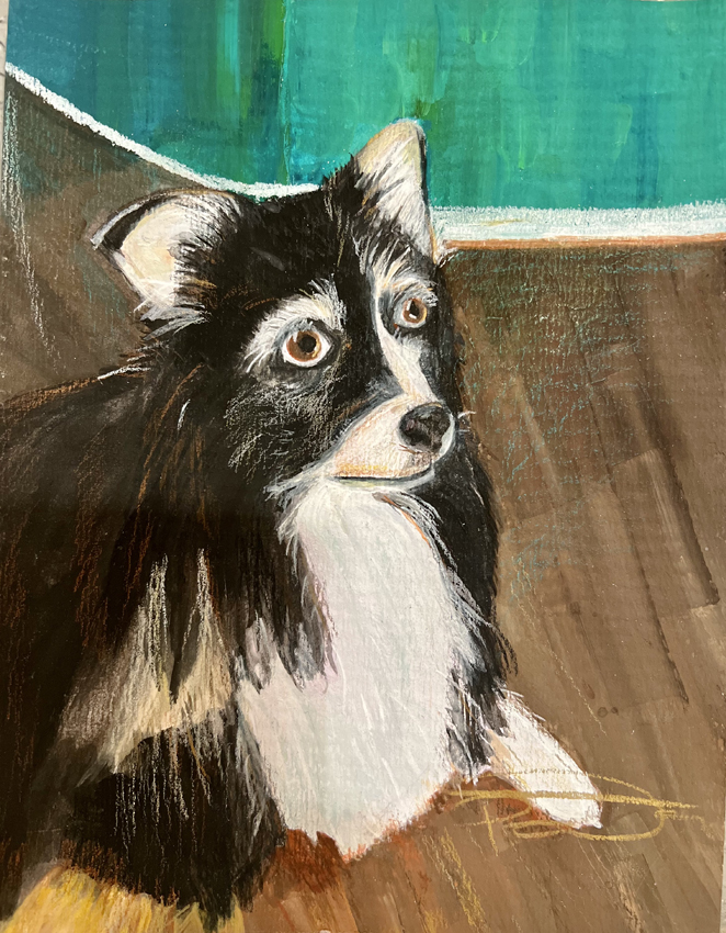 Riley the Adventure Dog