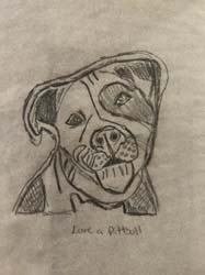 Love a Pitbull