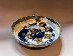 Turtles Make it to Sea